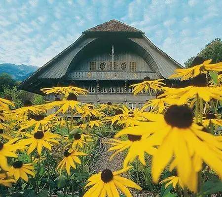 Homestay Brienz Brienz  Exterior photo