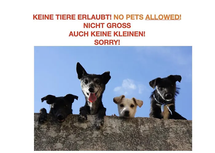 Homestay Brienz