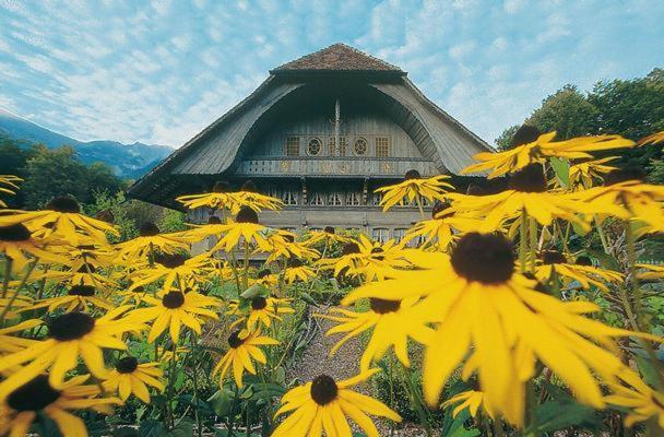 Brienz Holiday home Brienz (Bern)