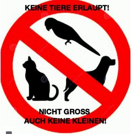Brienz